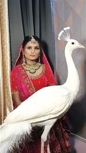 bridal look #indianwedding #wedding #love #whowillbemylifepartnerta