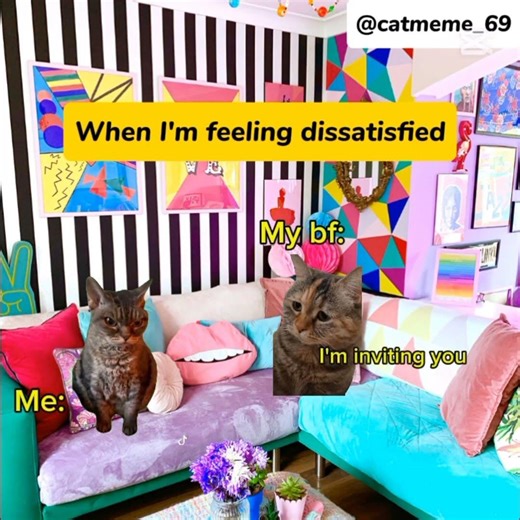 CAT MEMES 😺When I Feeling Dissatisfied #catmemes #couple #foryou #cat #2026 #subscribe #cat