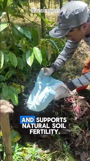 Why Do Farmers Use Manure? Here’s the Benefit 🌱