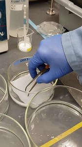 42K views · 433 reactions | These researchers are developing a durable fabric that can cool its wearer by up to 15 degrees Fahrenheit. How are they using chemistry to do it? This video explains. Read the ACS press release: https://brnw.ch/21wLYvu #ACSFall2024 #HeadlineScience #ScienceResearch | American Chemical Society | Facebook