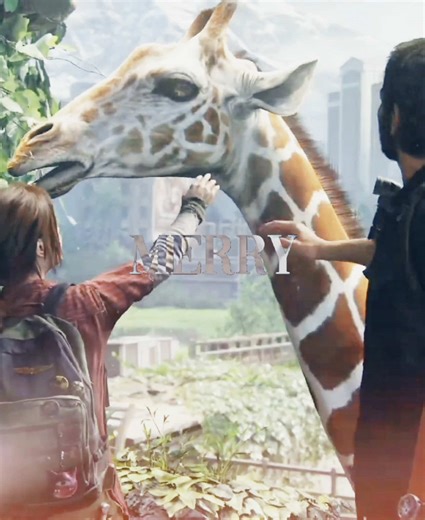 please don’t call #foryou #thelastofus #tlouedit #bleachers #elliewilliams #joelmiller #pedropascal #bellaramsey