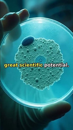 Accidental Penicillin Discovery — Miracle Mold #shorts