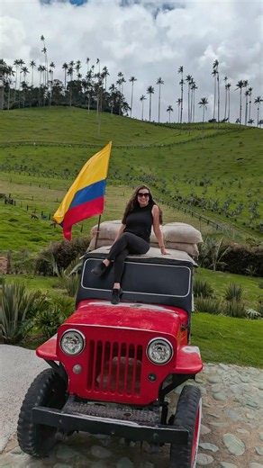 Cocora Valley in Salento #colombia #valledelcocora #cocoravalley #salento #palmtrees