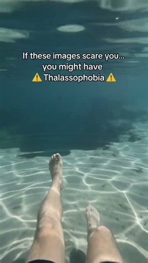 POV: Floating over the drop-off in crystal clear water...