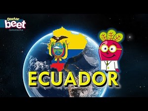🇪🇨 MAPA DEL ECUADOR Paises del Mundo Provincias Capitales