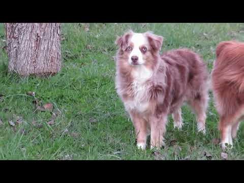 Spring in Big Coon Valley