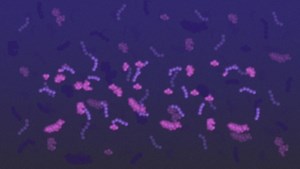 Is it sepsis? Watch the latest CHEST video on utilizing molecular diagnostics to confirm a sepsis infection and visit the CHEST Sepsis Topic Collection to learn more: https://hubs.la/Q02k133M0 #MedEd #Sepsis | American College of Chest Physicians