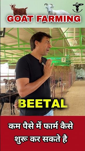 How to start Goat Farming | Micro Irrigation