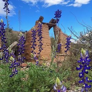 Wild West Women: See Historic Old West Photos of Pioneer Women