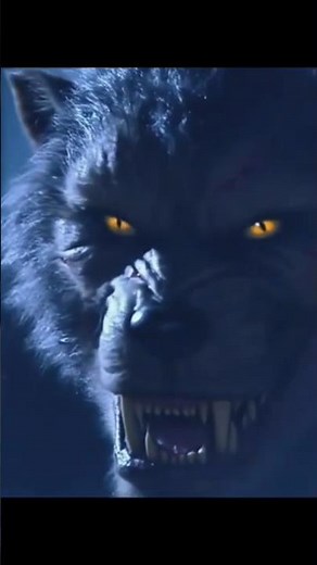 Howl 2 Movie trailer #howl #movie #trailer