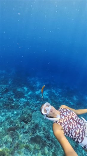 That little sea grass was definitely playing hard to get 😅 🧜‍♀️: @oceangalz @isalassinaro #bubblering #spin #vortex #trick #ocean #underwater #magic #mermaid #diving #freediver | oceangalz