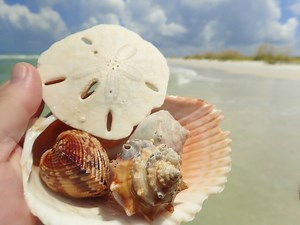 Mayaguana Island, Bahamas - My Bahamas Vacations