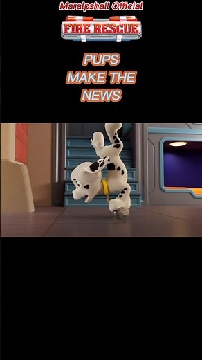 Pups Make The News | PAW Patrol - Fire Rescue Wipeout