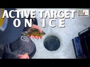 Lowrance Active Target on Ice