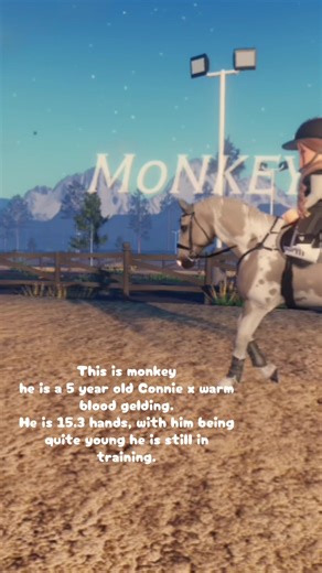 Discover My Amazing Ponies!