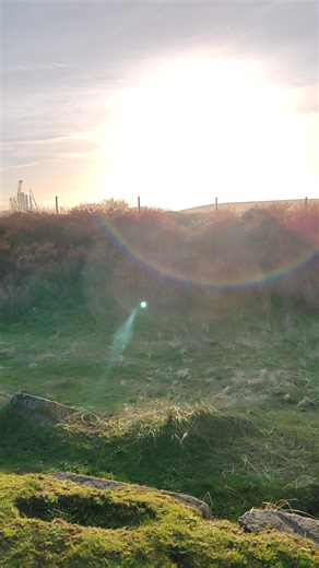 Thursday fun with Dora's Explorers 🐾🐕‍🦺🐾🐕‍🦺🐾 | Dora's Explorers Dog Walking