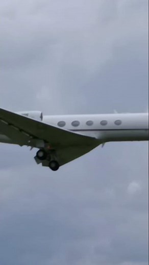 Phoenix Air Gulfstream III / Landing @ Naples Capodichino Airport / RWY 24 (NAP/LIRN)