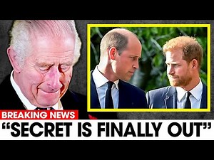 Princess Diana's Sons FINALLY Breaks Silence About King Charles