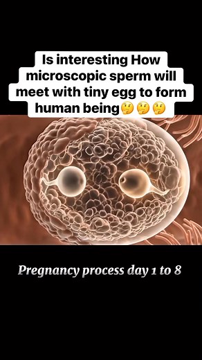 Healthy lifestyles choices on Reels