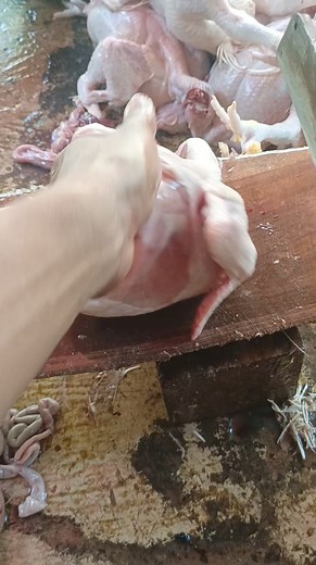 Sklis potong ayam #skils #fyp #semuaorang | Rudi Kaji