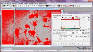 【生物软件教程】ImagePro Plus 使用教程