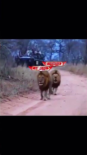 Old is Gold💀#freefire #ff #foryou #foryoypage #trending