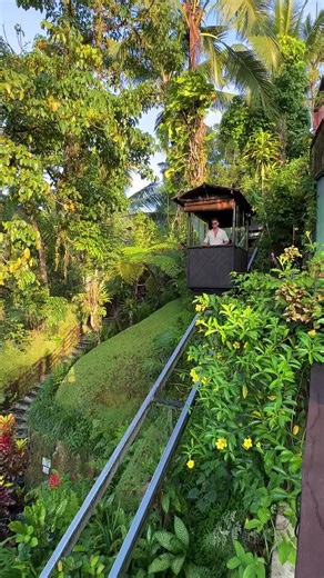 2.1K views · 12 reactions | Located north of Ubud in the lush...