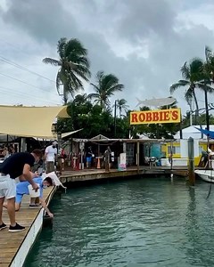 6.2K views · 277 reactions | Happy Monday!  #robbiesofislamorada | Robbie's of Islamorada | Facebook