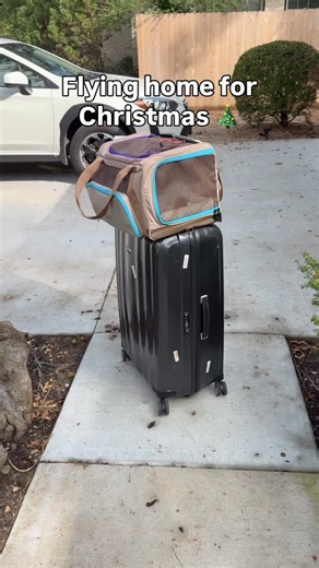 When I got Mia I did not think how limiting a pet can be. When borders opened after Covid I realized I had to find a way to take her with me. It was not fair to leave her behind… Traveling with Mia on holidays by plane has given me the freedom to explore more often. I’ve got to tell you… It’s easier than it seems, and I want to share how we do it with you. Many people worry about flying with their cats. Common fears include cat stressing, whether they’ll be safe, managing pee and poo and the log