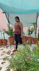 199K views · 10K reactions | ✨Gardern makeover  Product’s from @yazhinigarden Discount code - YGSP5 Yazhini Gardern WhatsApp number- 7305952159 #nature #gardens #suriyapraba #instagram #reels | Suriya Praba | Facebook