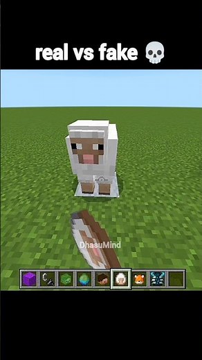Minecraft Real VS Fake Moment
