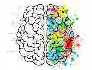 Mind exercise quiz questions with answers in Hindi
