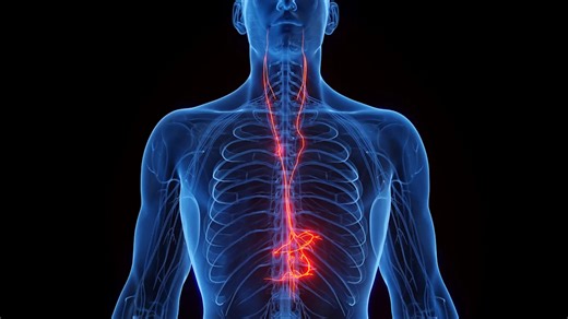 Does vagus nerve stimulation work? A scientific cure-all explained.