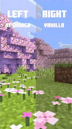 Which Minecraft Looks Better? #reshaded #minecraftresourcepack