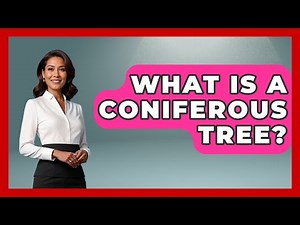 What Is A Coniferous Tree? - The Plant Enthusiast