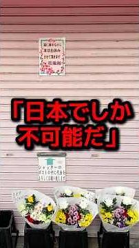 Why a French person was shocked by a photo of everyday life in Japan