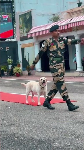 This Army Dog Shocked Everyone at India-Pakistan Border 🐕