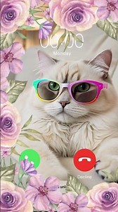 Mi telephone ringtone #calling #calls #ringtone #cats
