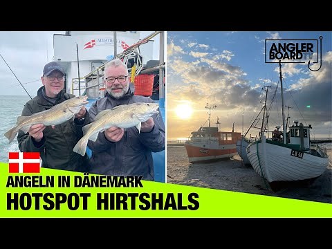 Hotspot Hirtshals | Angeln in Dänemark | Hochseeangeln | Brandungsangeln | Nordjütland | Jammerbucht
