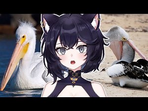 BIRDS ARE TERRIFYING | Saphwyn Reacts to Casual Geographic