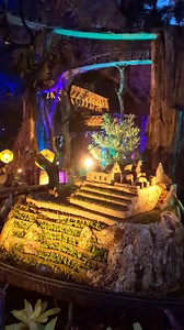 Tacey Tague on Reels