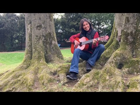 Cover of «fade away » by Rebelution 