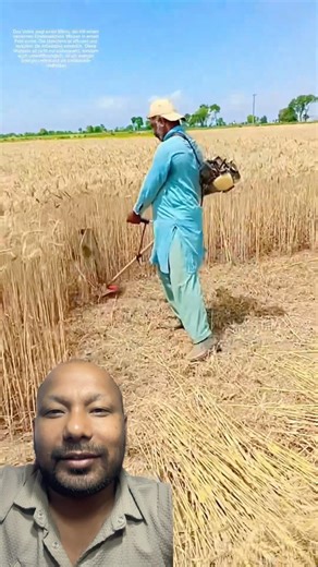 गहु काट्ने मेसिन आयो #mastrix #farming101 #agriculture #