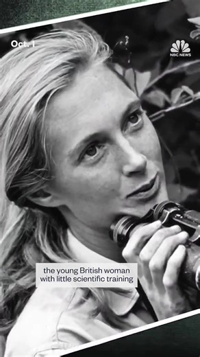 94K views · 4.3K reactions | Jane Goodall, who died Wednesday at age 91, dedicated her life to species conservation and immersed herself in their habitats to understand them on a deeper level. Take a look at a verdant and curious life, in photos. | NBC News | Facebook