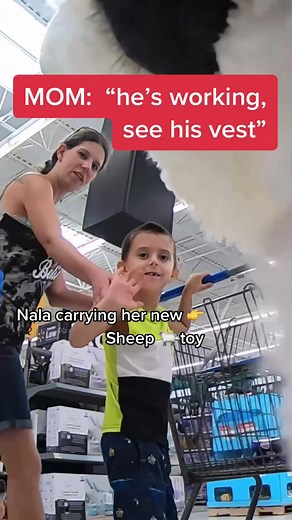 HOW TO EDUCATE YOUR KIDS ON SERVICEDOGS 101!! #servicedog #dog #doglife #dogmom