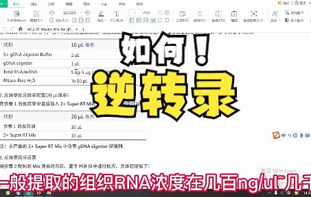 逆转录过程（RT-PCR）