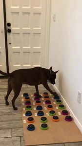 122 reactions · 8 comments | What if your dog could actually talk to...