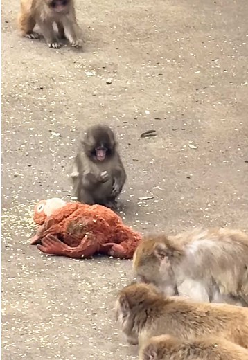 パンチくんに会いに行ったよ！