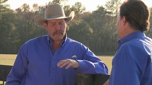 2.2K views · 1.1K reactions | When you learn the language of horses through the Parelli Program, you get to the horse’s mind. When you have your horse’s mind, that’s when the magic happens. It’s the key to fixing problems and having the partnership you’ve always dreamed of. | Parelli Natural Horsemanship | Facebook