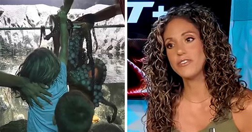 Mom Of 6YO Boy Who Was Attacked By Octopus Accuses Aquarium Of Lying After Viral Incident